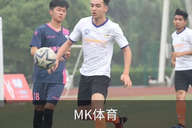 关于MK体育